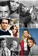 Image result for TV Shows From the 70s