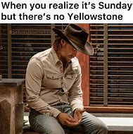 Image result for Yellowstone Memes Funny