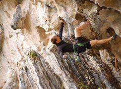 Image result for Rock Climbing Sport