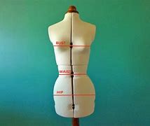 Image result for How to Measure Hip Size