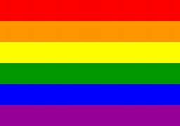 Image result for Ace Pride Flag