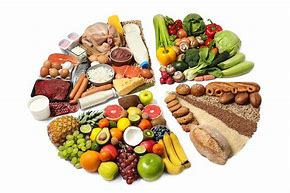 Image result for Different Types of Diets