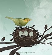 Image result for Bird Nest Vector