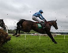 Image result for Lingfield Racecourse