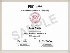 Image result for PhD in MIT for It Coure