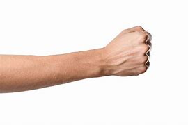 Image result for Left Hand Fist