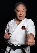 Image result for Popular Types of Karate