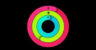Image result for Apple Health Rings