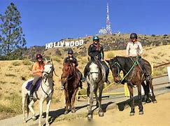 洛杉矶好莱坞山 的图像结果