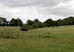 Image result for Acreage for Sale Near Me