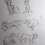 Image result for Warrior Cats Drawing Sketch