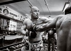 Image result for Bald UFC Fighters