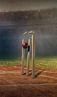 Image result for Cricket Stumps Wallpaper