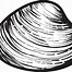 Image result for 3 Clam Shells Clip Art