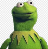 Image result for Angry Kermit