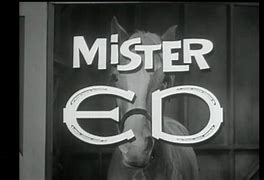 Image result for "Mr. Ed" TV Series