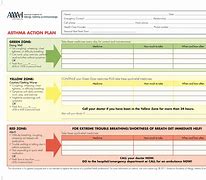 Image result for Management Action Plan Template