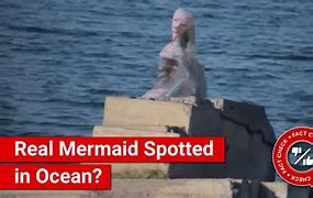 Image result for Mermaid Caught in Net