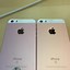 Image result for Apple iPhone SE Case Rose Gold