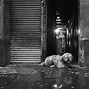 Image result for Street Photography Inspiration