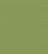 Image result for Moss Green Background