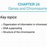 Image result for Chromatin Cell Cycle