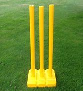 Image result for Cricket Cutest