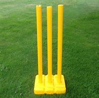 Image result for Cricket Bag Aus