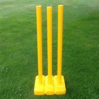 Image result for Cricket Kid's India