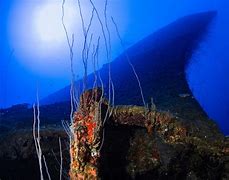 Image result for Sunken Ship Coral