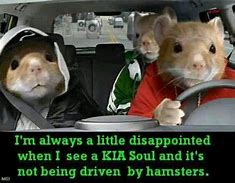Image result for Bought a Kia Soul Meme