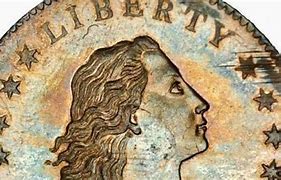 Image result for Flowing Hair Large Cent