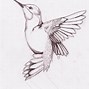Image result for Bird Pencil Drawing Book