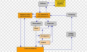 Image result for Cycle Process Flow Diagram