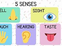 Image result for 5 Senses Poster