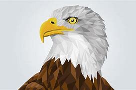 Image result for Bald Eagle Pictures Drawing
