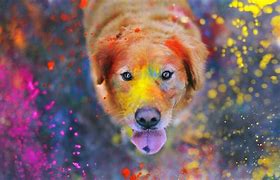 Image result for Awesome Cool Dog Wallpapers