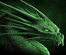 Image result for green dragon