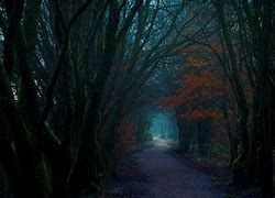Image result for Autumn-Forest-Scenery