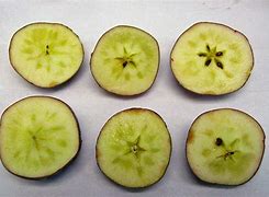 Image result for Water Cored Apple