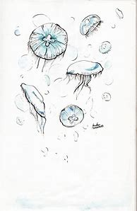 Image result for Moon Drawing Sketch Jellyfish