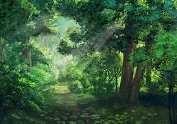 Image result for Anime Jungle Explorer