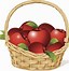 Image result for Basket of Apples