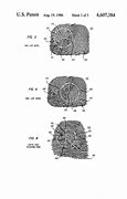 Image result for Patent Fingerprints