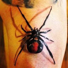 Image result for Redback Spider Tattoo