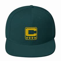 Image result for Grizzlies Snapback Hat