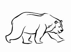 Image result for Polar Bear Coloring Pages