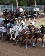 Image result for Chuckwagon Racing