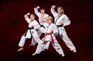 Image result for Family/Friends Martial Arts Image Silhouette
