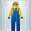 Image result for Minion Halloween Costumes for Adults